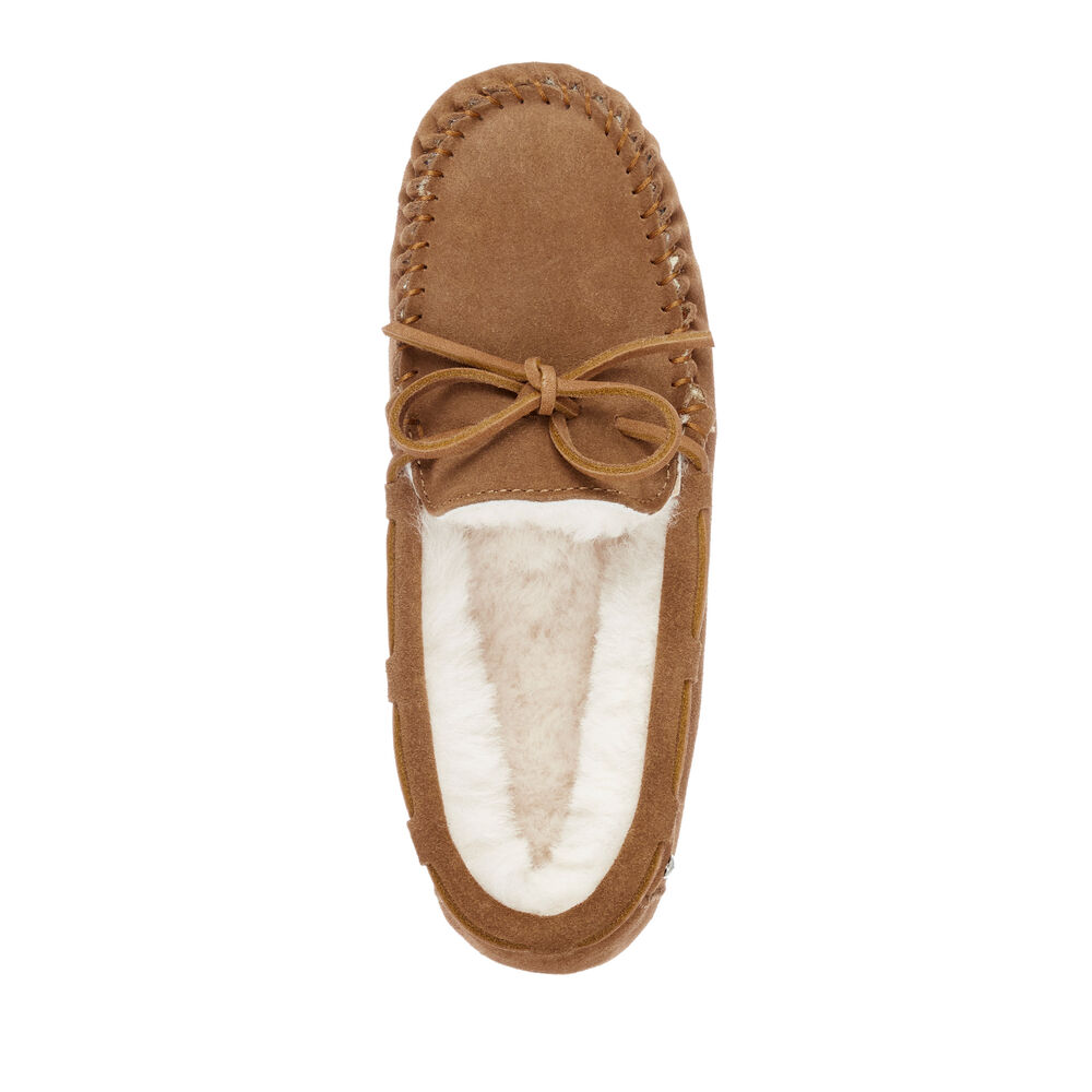 Brown Emu Amity Women's Slippers Canada 0529-WOMJI