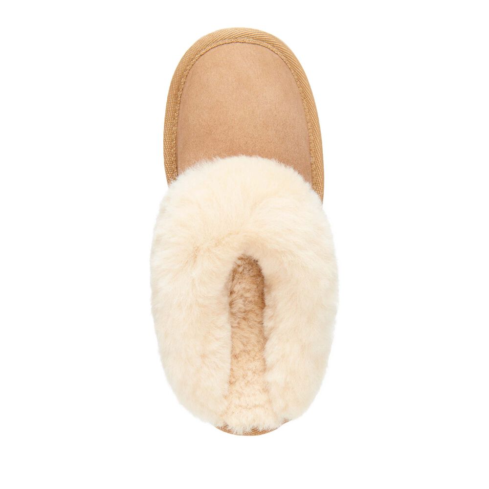 Brown Emu Platinum Eden Women's Slippers Canada 8923-YZXJH